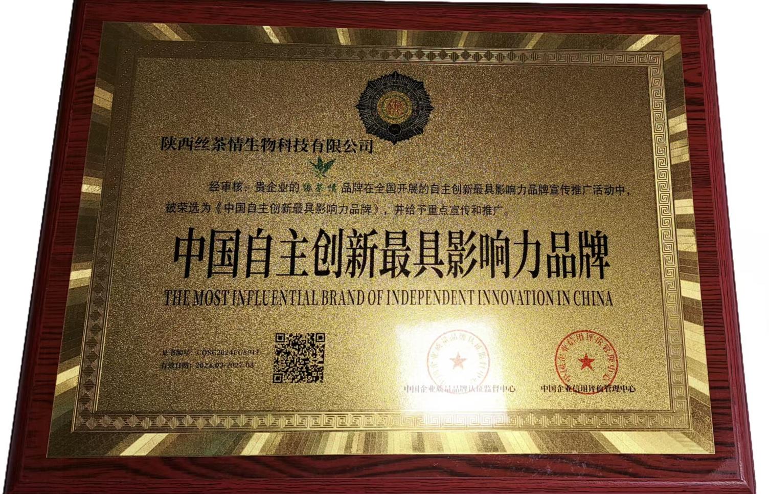 中国自主创新最具影响力品牌