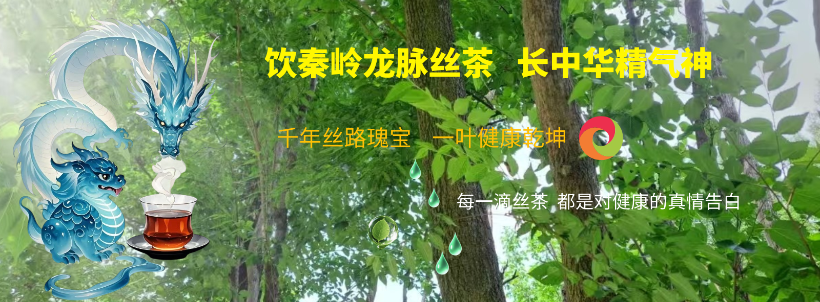 陕西丝茶情生物科技有限公司